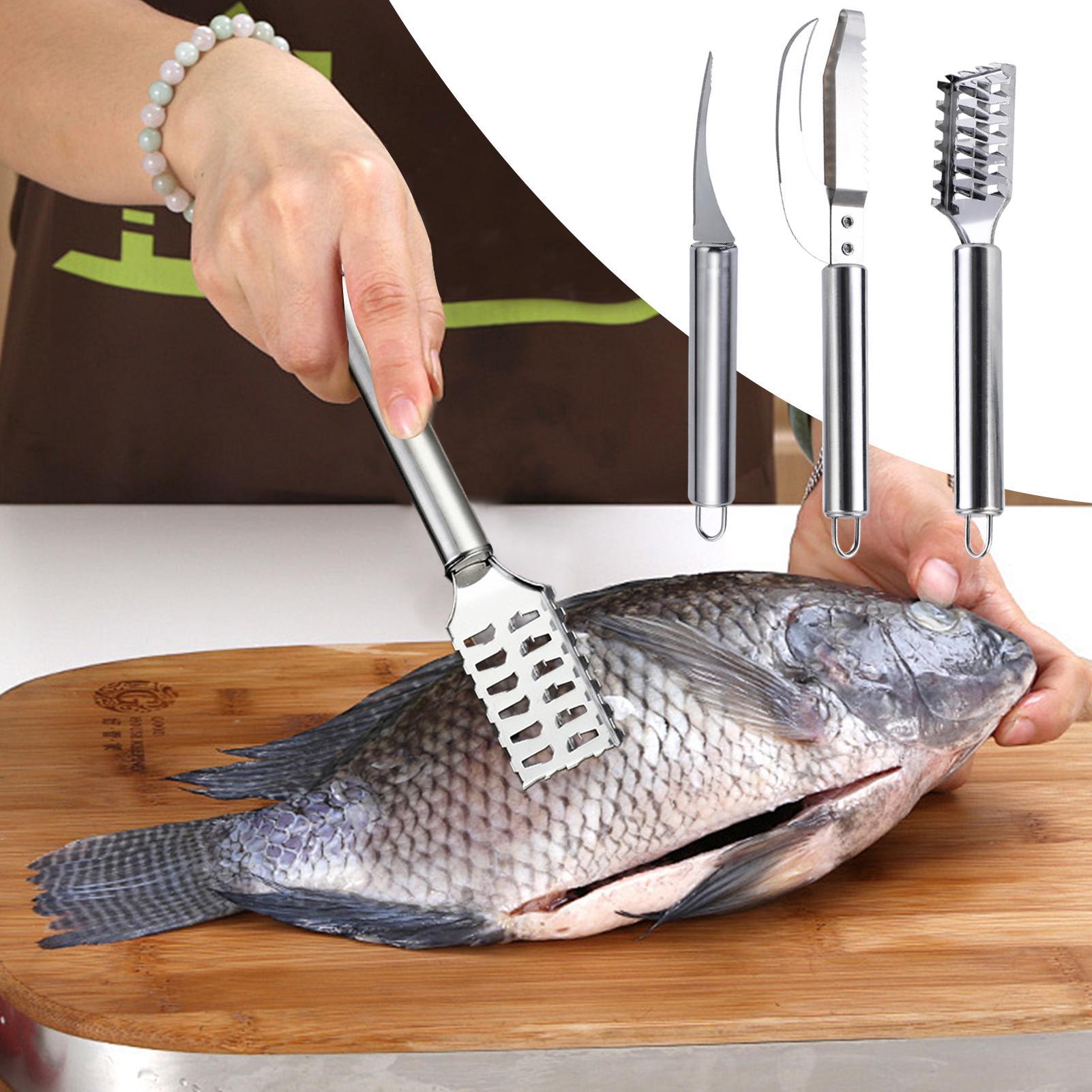 มีดขูดเกล็ดปลา ที่ขูดเส้นกุ้ง  - Kitchen Gadgets Everyone Needs บทวิจารณ์และราคา