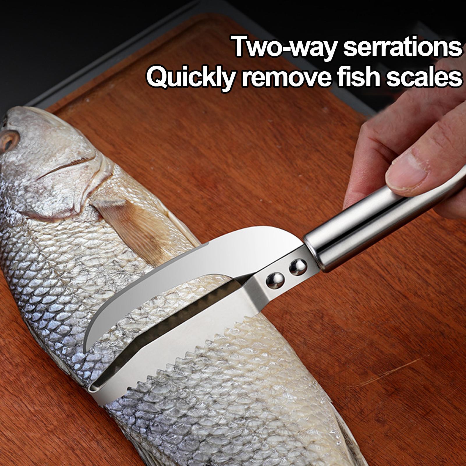 มีดขูดเกล็ดปลา ที่ขูดเส้นกุ้ง  - Kitchen Gadgets Everyone Needs บทวิจารณ์และราคา