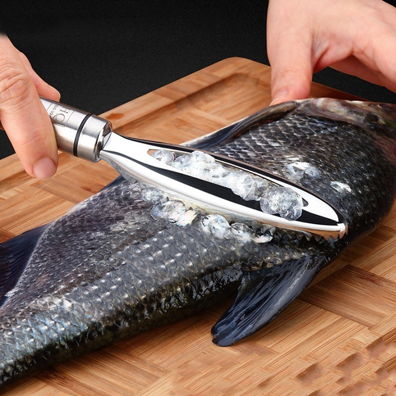 สแตนเลสเกล็ดปลาขูด Graters Fas - Kitchen Gadgets Everyone Needs บทวิจารณ์และราคา