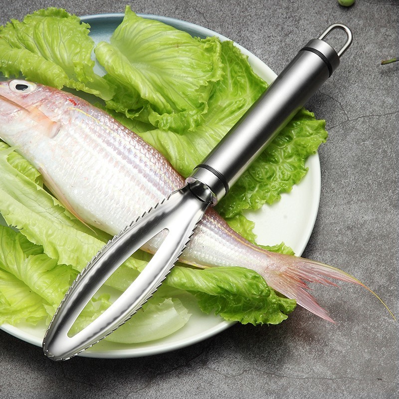 สแตนเลสเกล็ดปลาขูด Graters Fas - Kitchen Gadgets Everyone Needs บทวิจารณ์และราคา