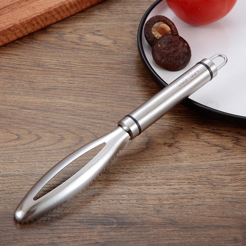 สแตนเลสเกล็ดปลาขูด Graters Fas - Kitchen Gadgets Everyone Needs บทวิจารณ์และราคา